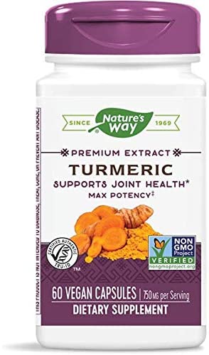 Turmeric Standardized Max Potency 750 mg 60 Vegetarian Capsules by Nature&