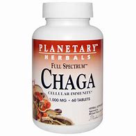 Full Spectrum Chaga 1000 mg 60 Tabs by Planetary Herbals best price