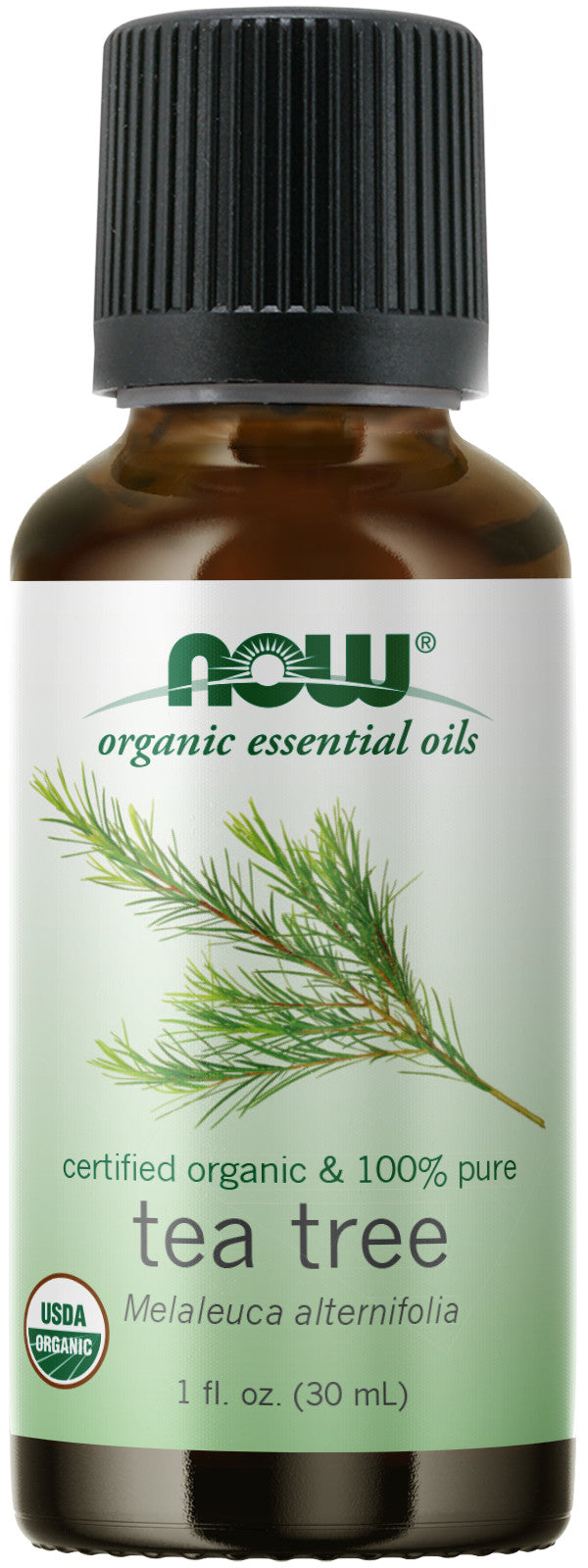 Tea Tree Oil Certified Organic 1 fl oz (30 ml) | By Now Essential Oils - Best Price
