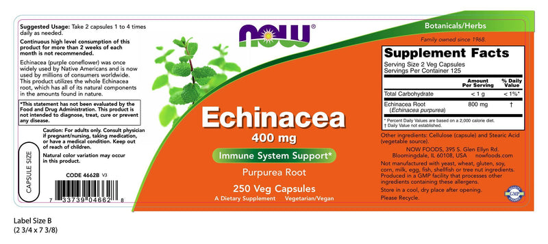 Echinacea Purpurea Root 400 mg 250 Veg Capsules | By Now Foods - Best Price