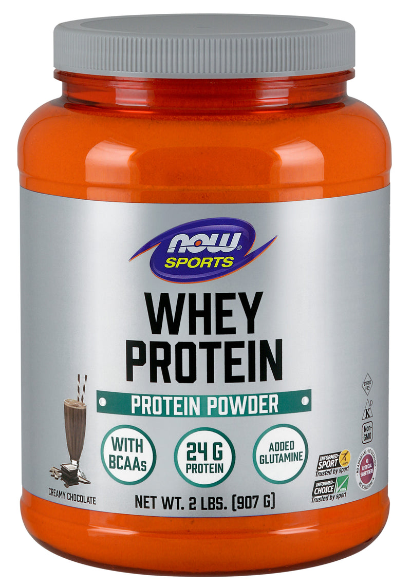 Whey Protein Dutch Chocolate 2 lbs (907 g) | By Now sports - Best Price